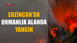 Erzincan'da ormanlık alanda yangın